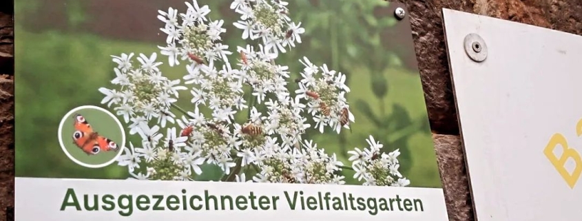Bauspielplatz im Friedenspark offiziell ausgezeichnet als "Vielfaltsgarten"