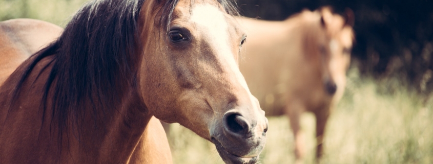 Foto von Man Dy von Pexels